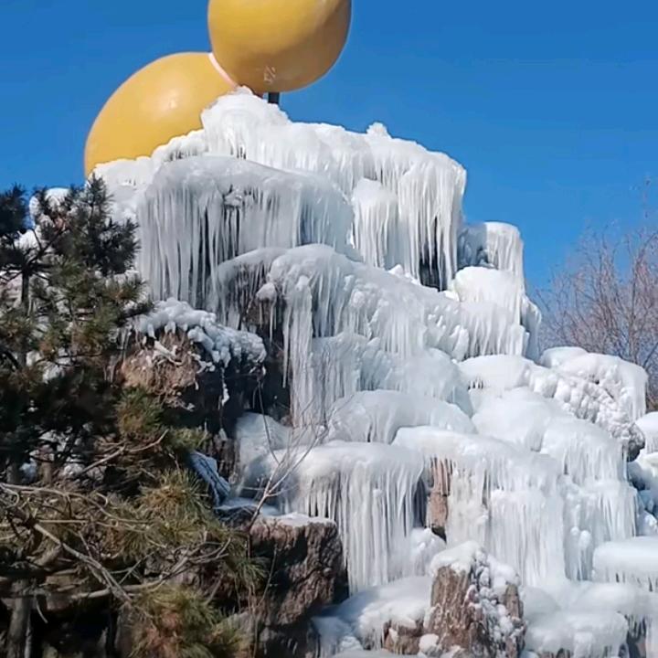 宇宇1