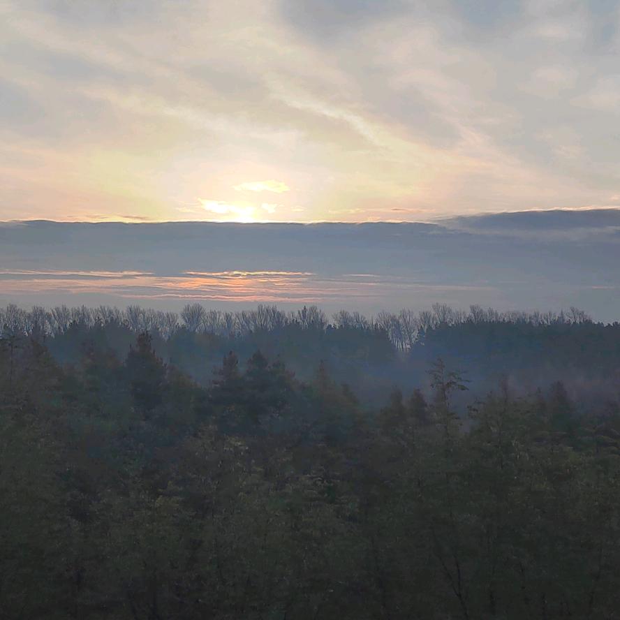 朱事顺遂ʚ🌿ɞ