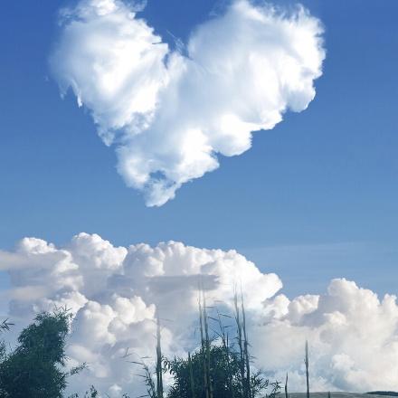 小余老师教语文