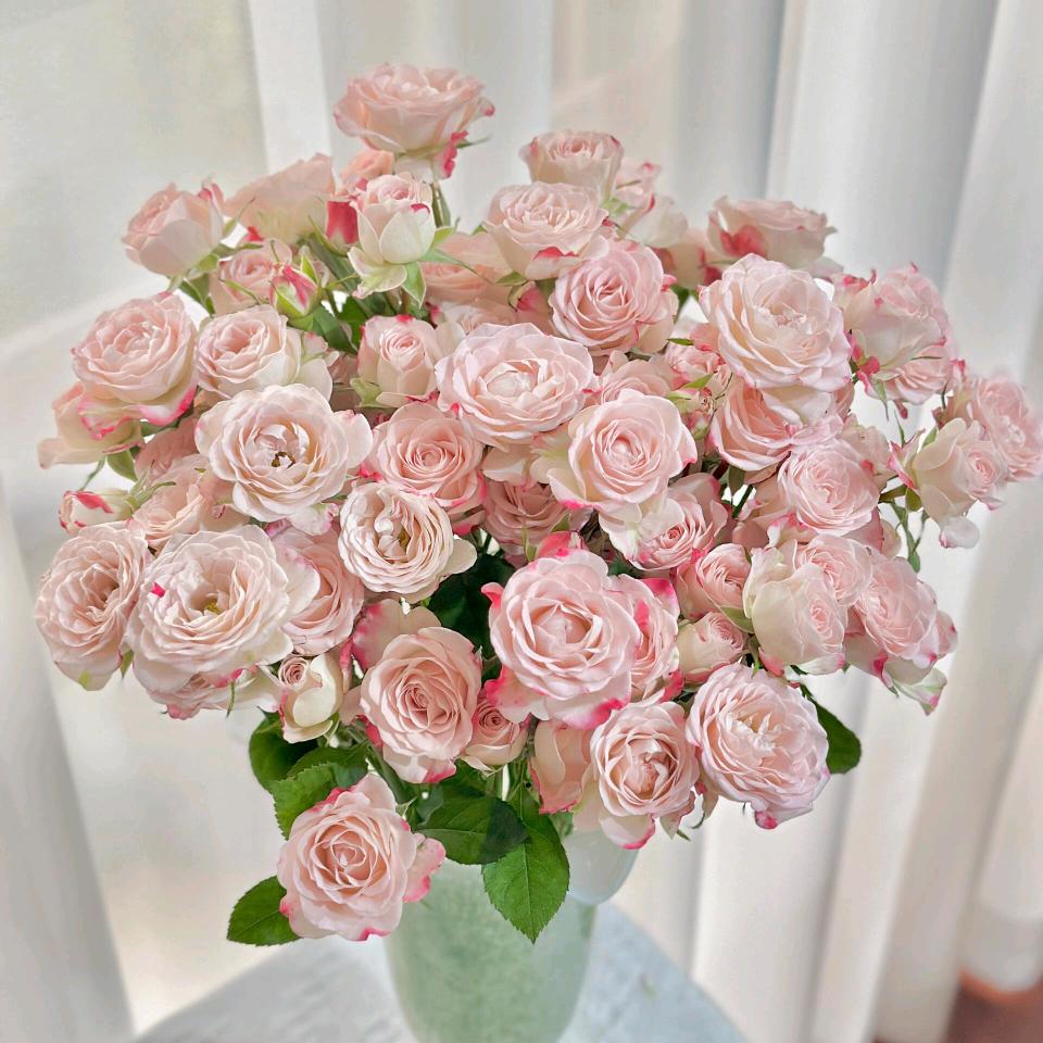 繁花集 Flower