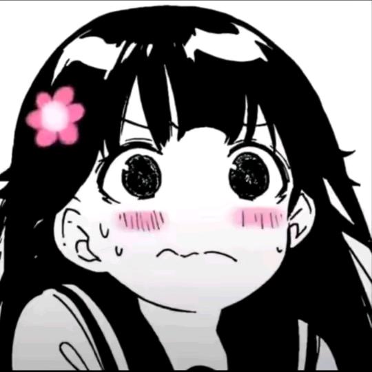张家豪