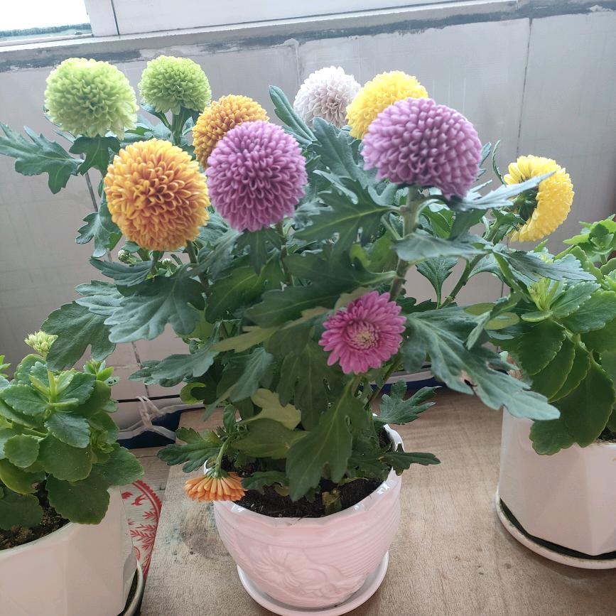 向往新的开始《拒私聊》