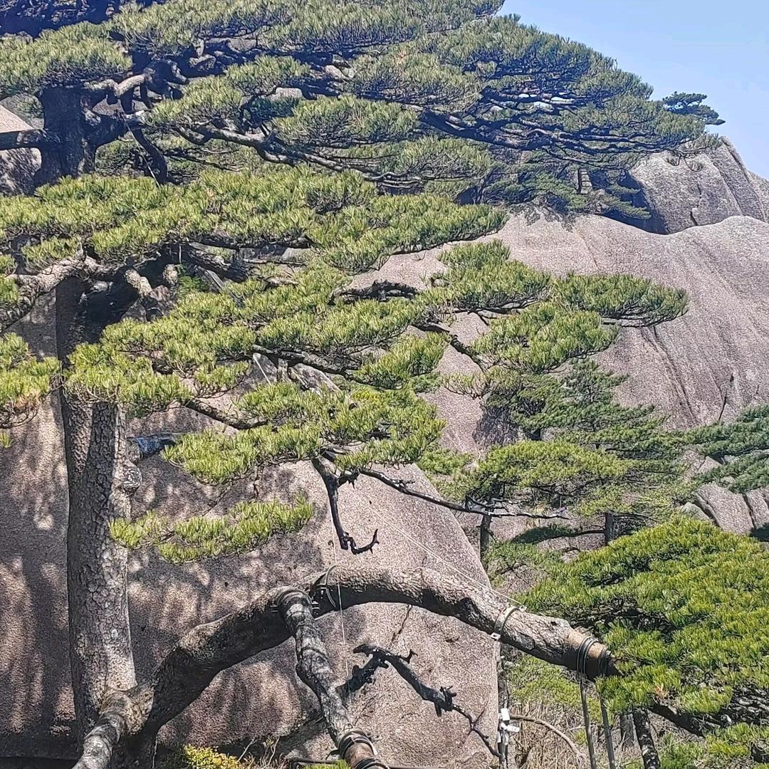 破冰前行