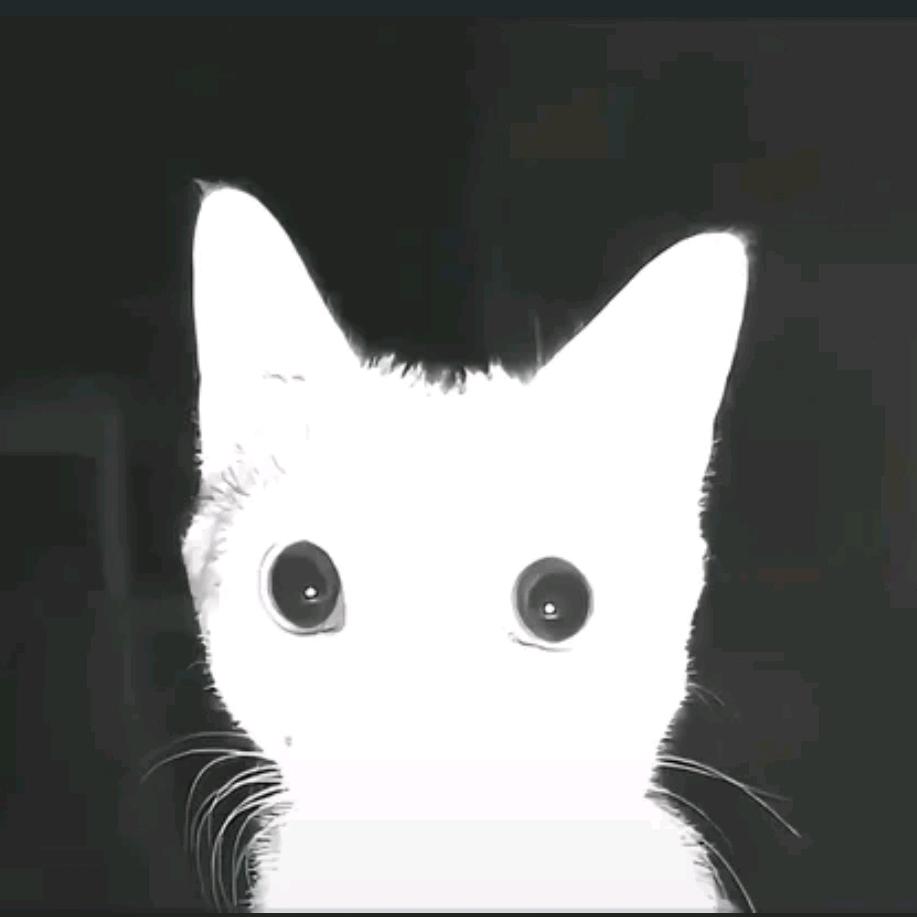 下宇天