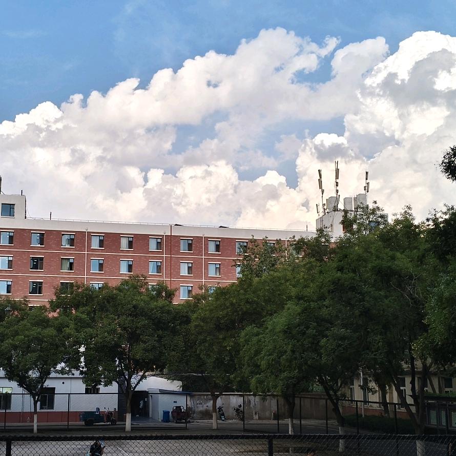 谁尿了我的电线杆