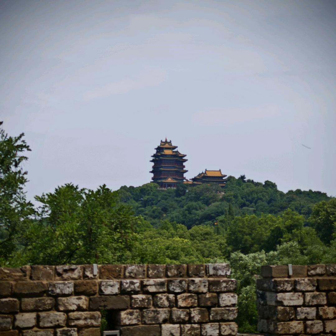 陆小姐的韩先生