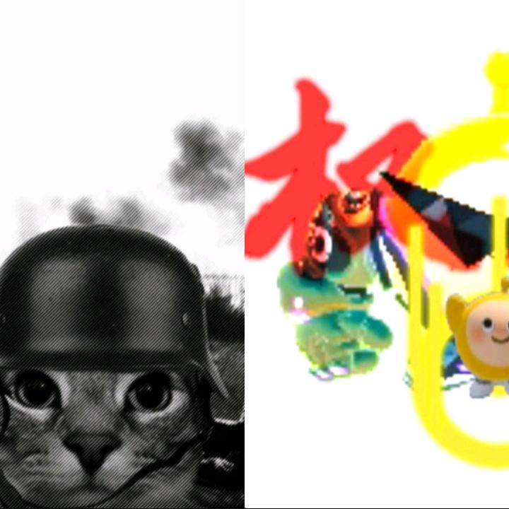 肃静的德猫（牢六）