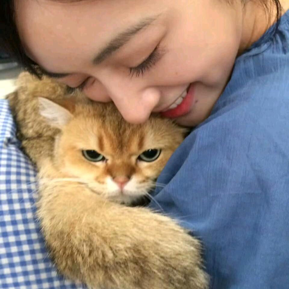 喂喂喂喂喂喂喂