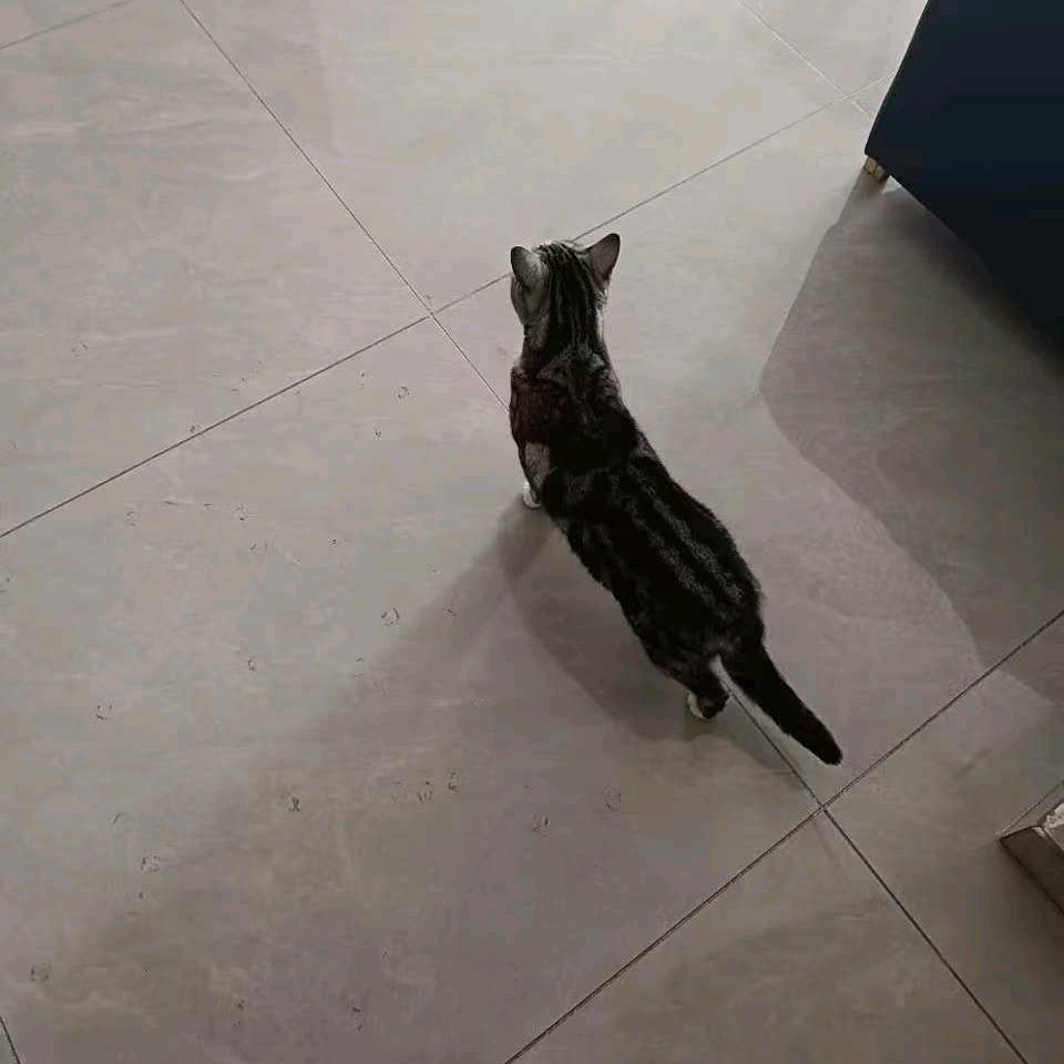 神秘人