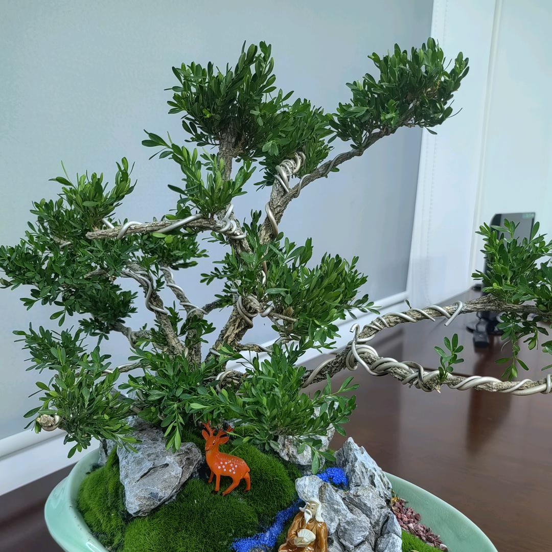 李立志