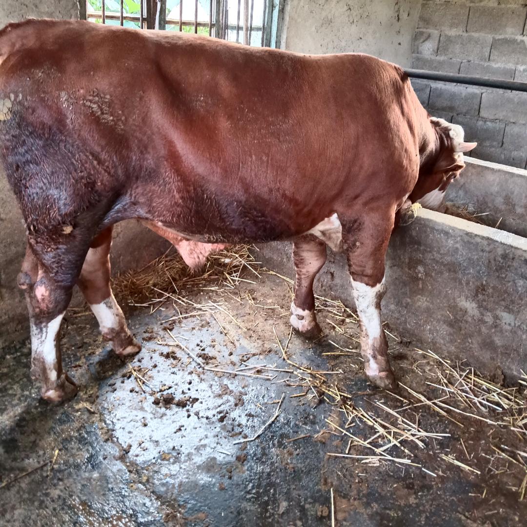 珍惜眼前人过好每一天