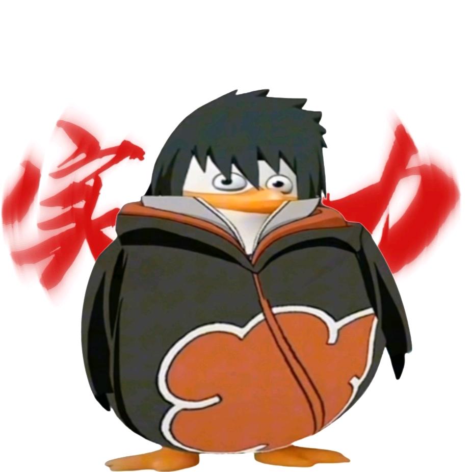 遮片大蒂
