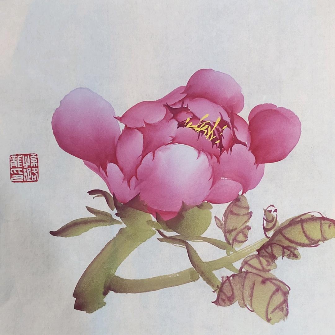 😃天天快乐