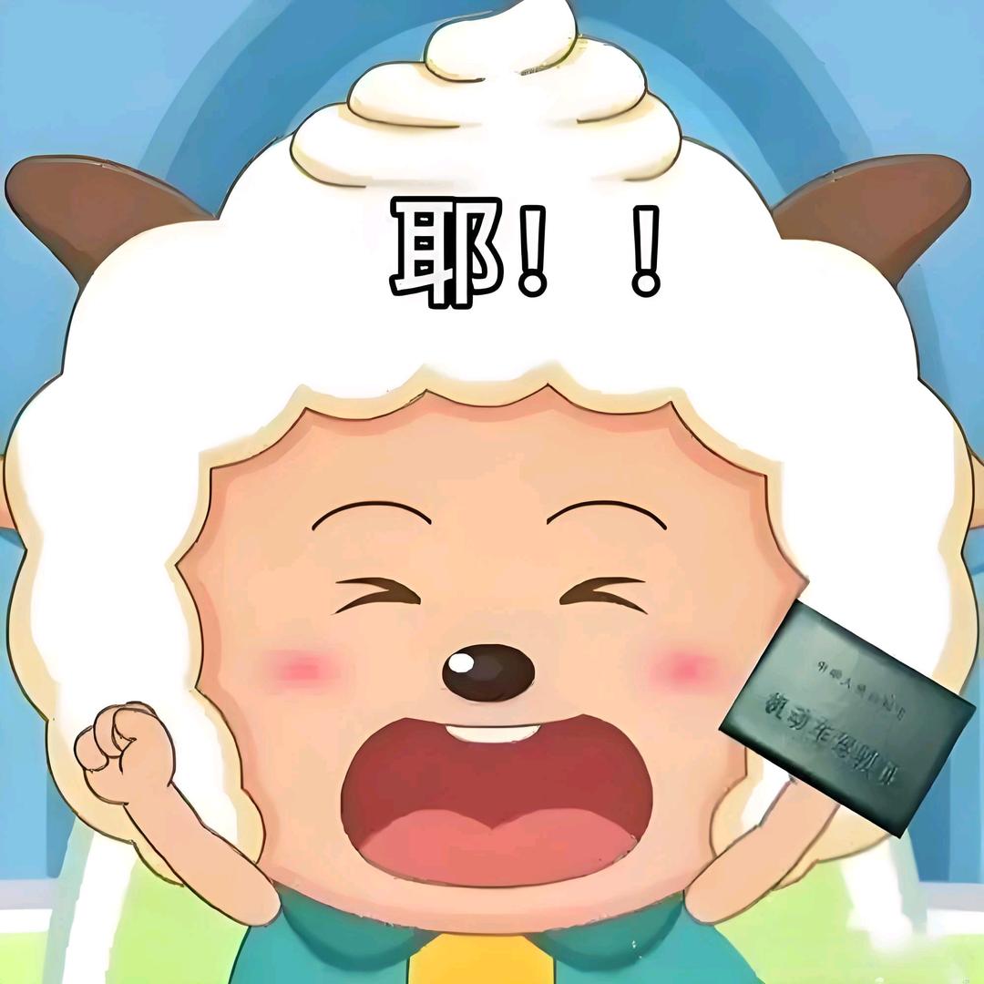 宁海东龙徐教练信息
