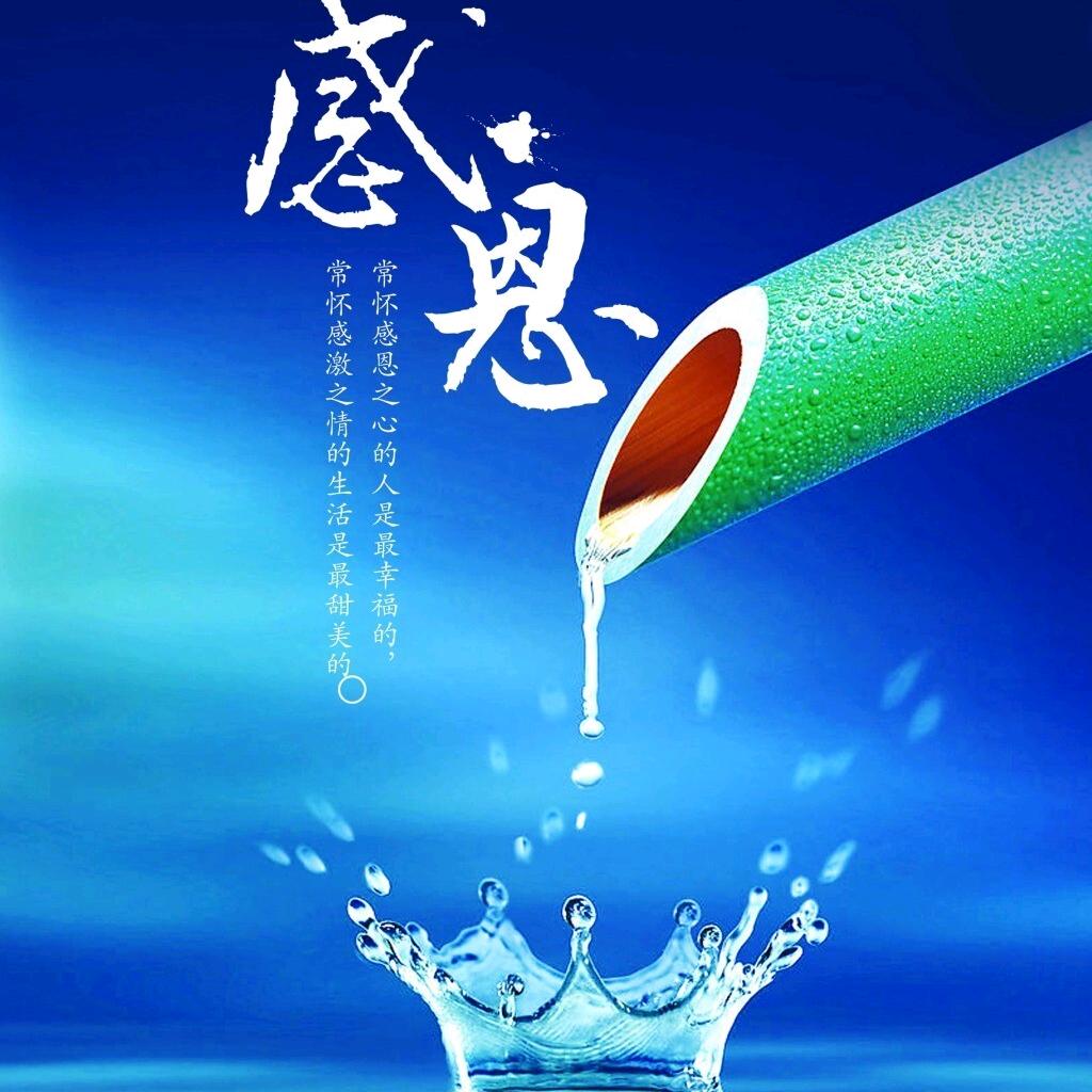 星罗万物
