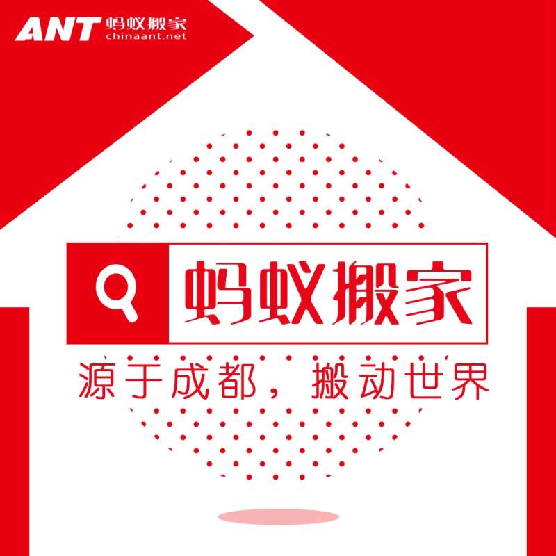 长沙蚂蚁搬家