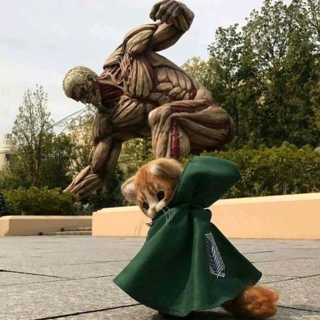 开心最重要