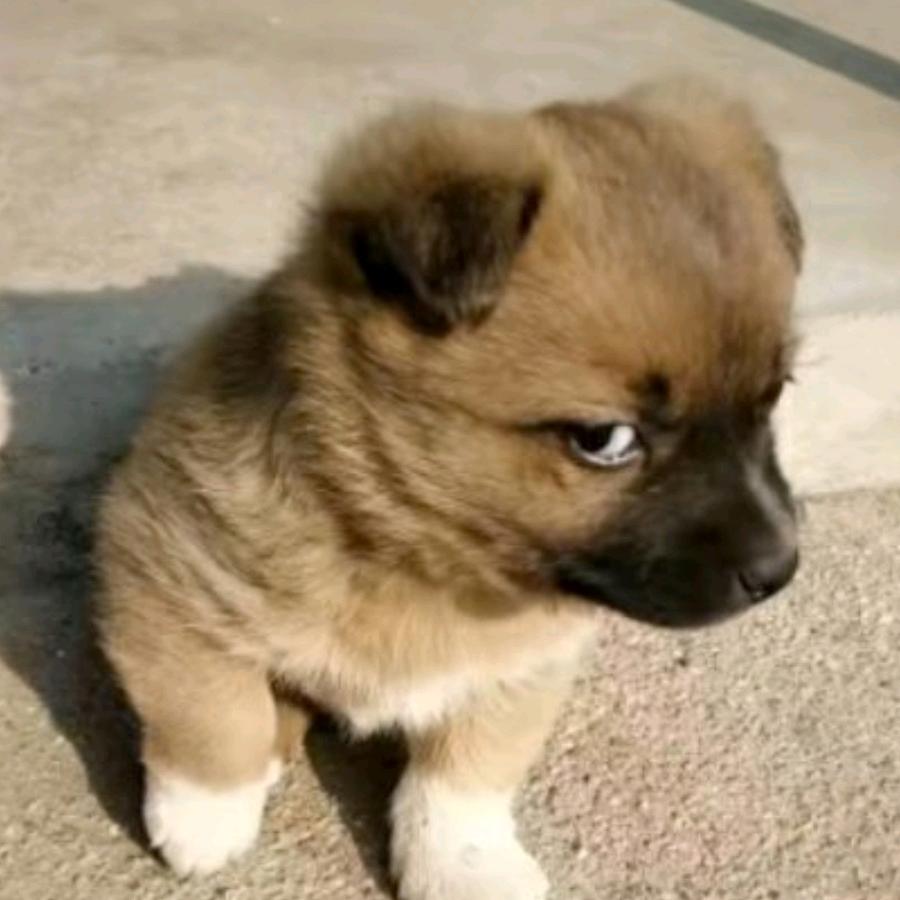 湖州酒吧KTV全国可以安排