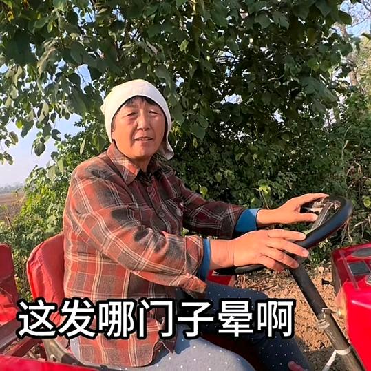 李连英