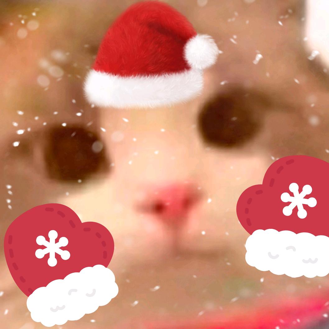 人间大大大大苦瓜