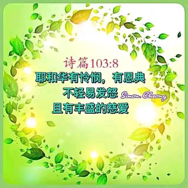 专业装卸工大姐