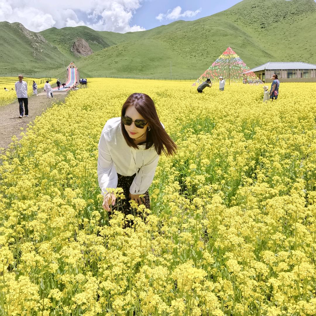 三公主（随新舞动）