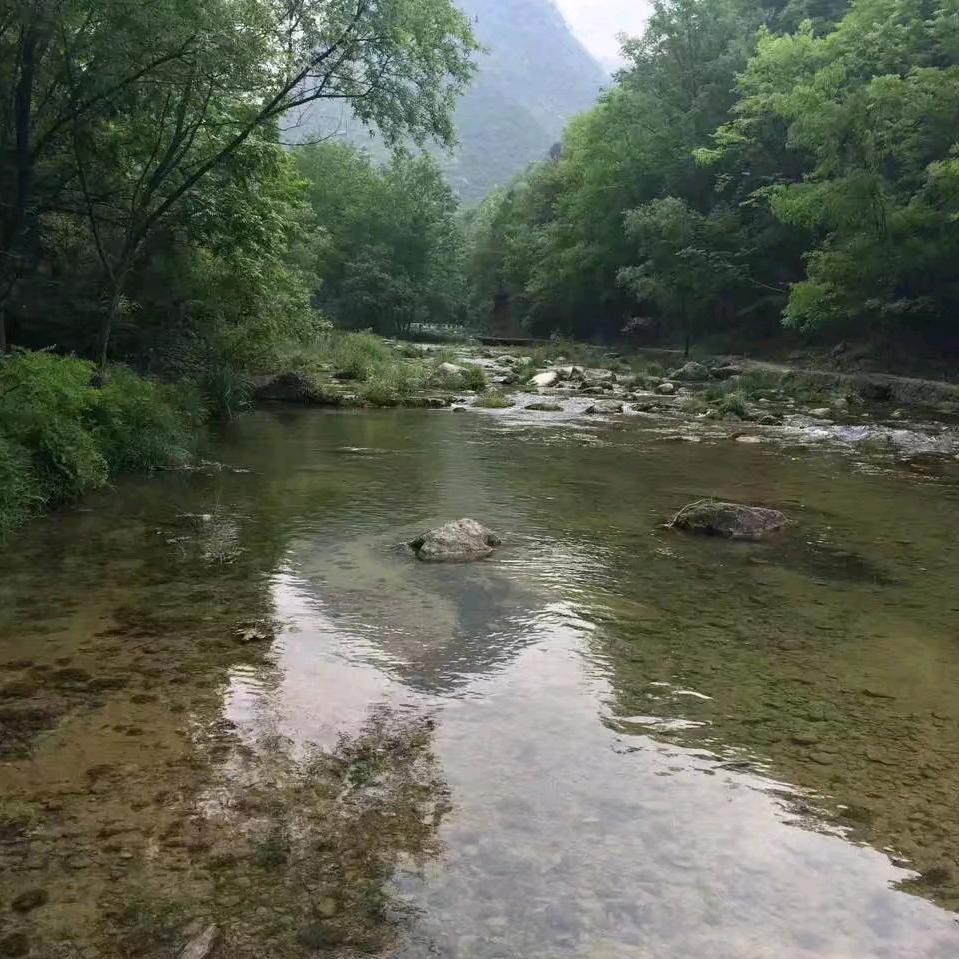 一眼万年