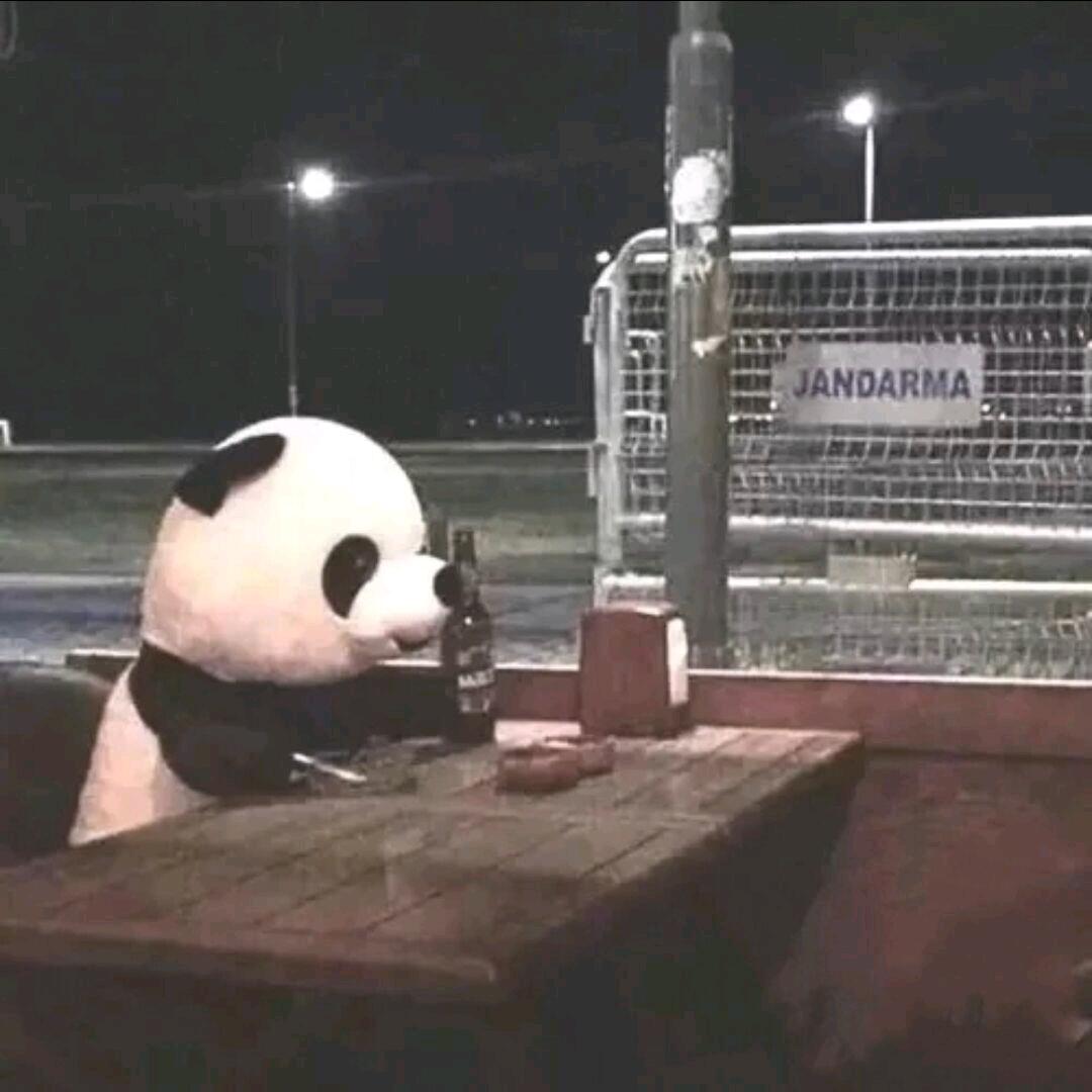 雪虐风滔