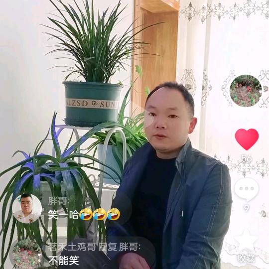 飛歌