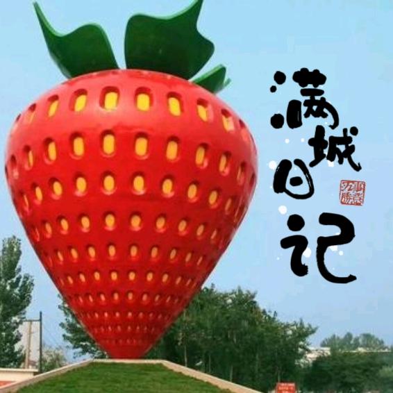 满城日记