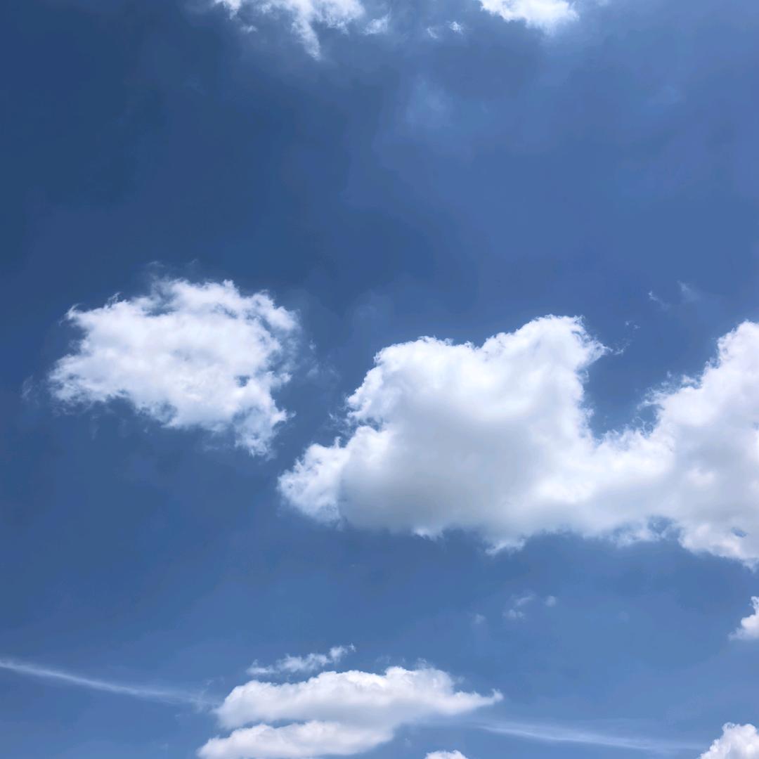 你在我眼中是最美