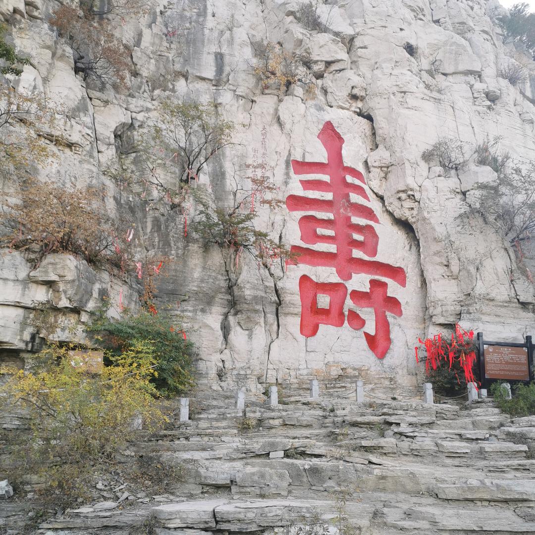 深山雄鹰