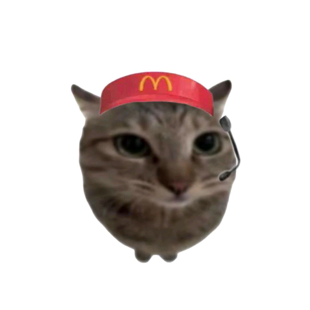 肯德🐱🏸
