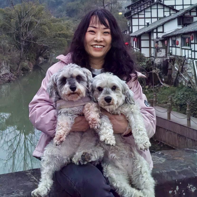 婷婷直播号