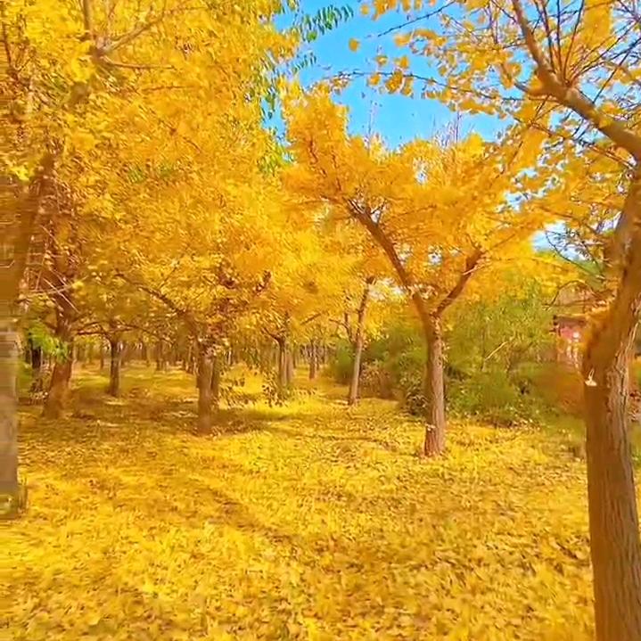 陶然亭礼宴中心林