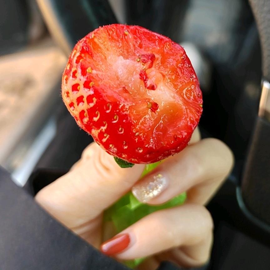 淮安区馨禾草莓园君姐