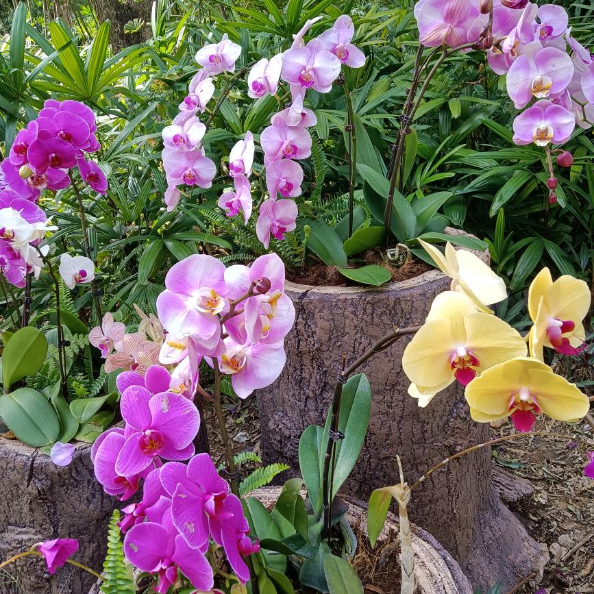 up老婆老婆火影忍者手游