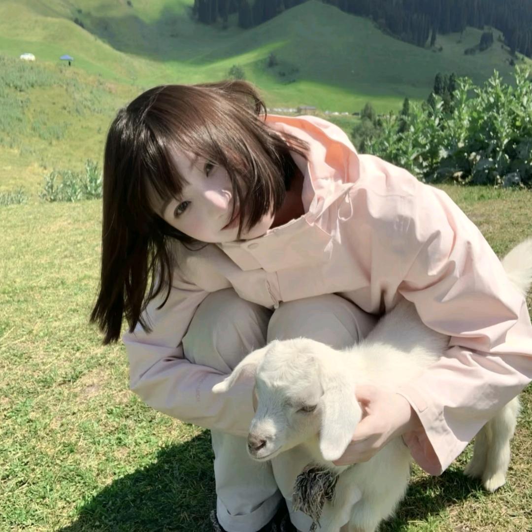 虾仁不wink