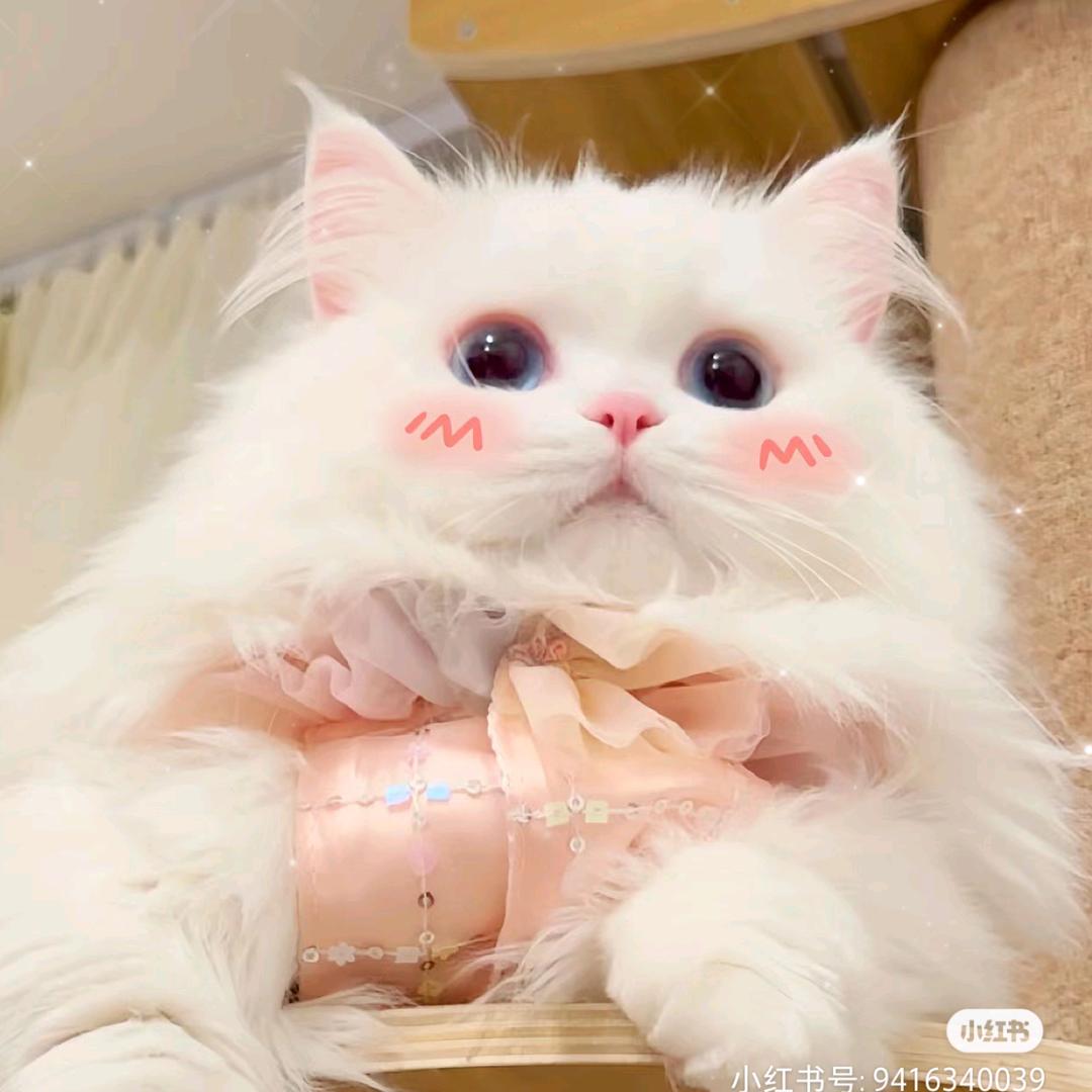 超级无敌可爱的甜甜(簪娘版)