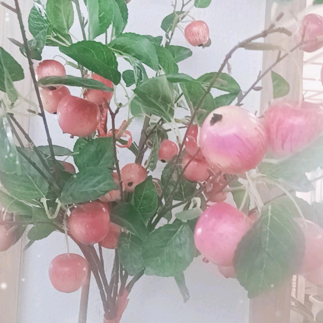 永驻的青春
