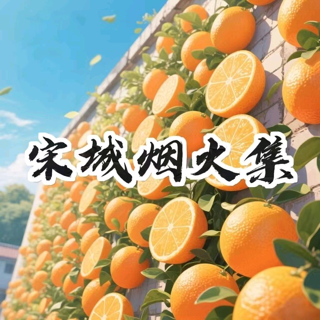 宋城烟火集