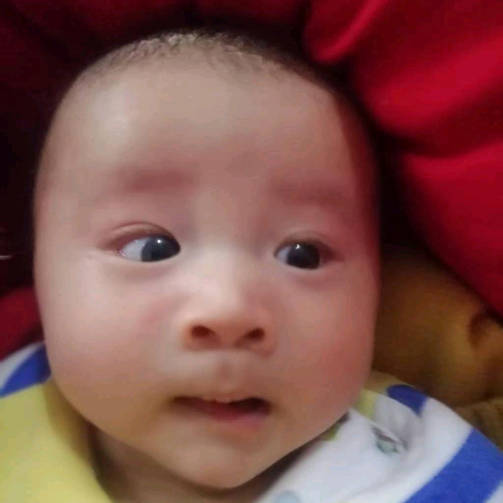 只玩和平的人