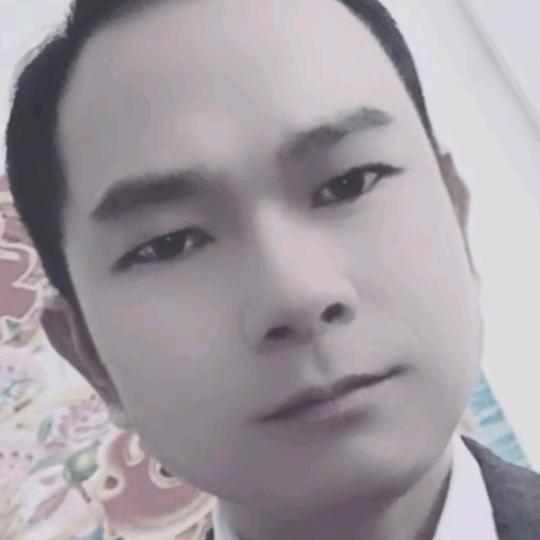 森朝