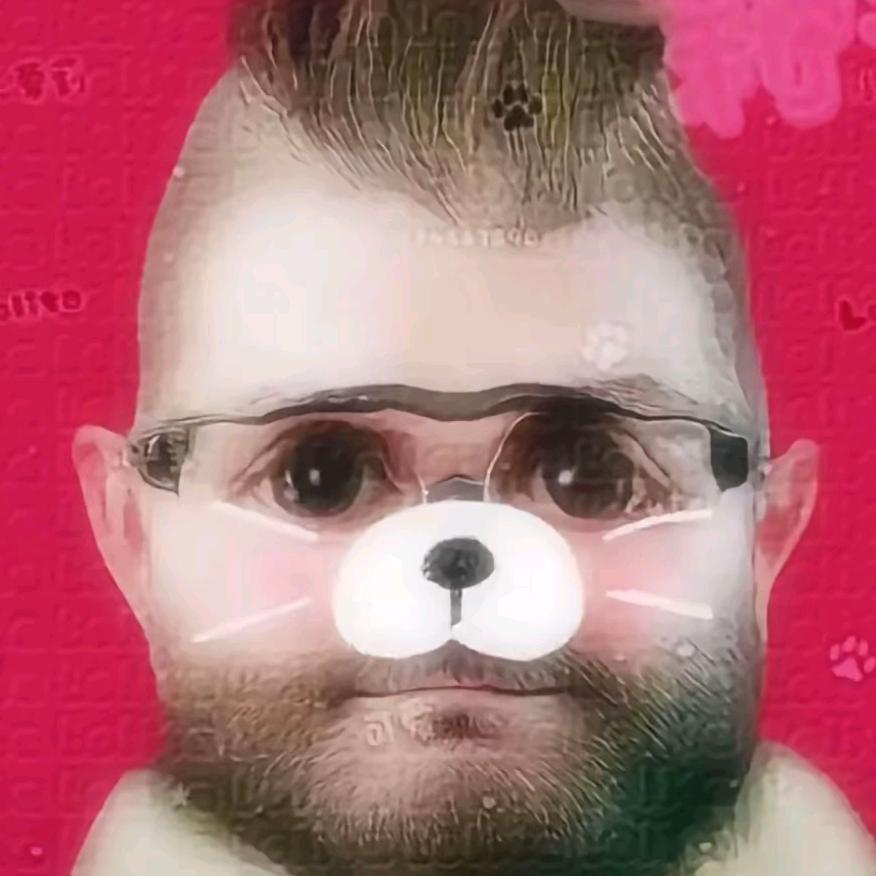 爱吃巡飞弹（堵图书馆版）