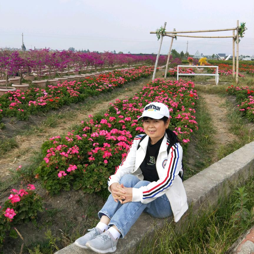 明窗净几居亦安