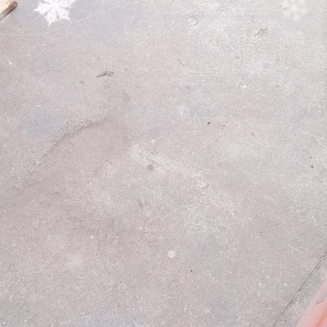 梅寒