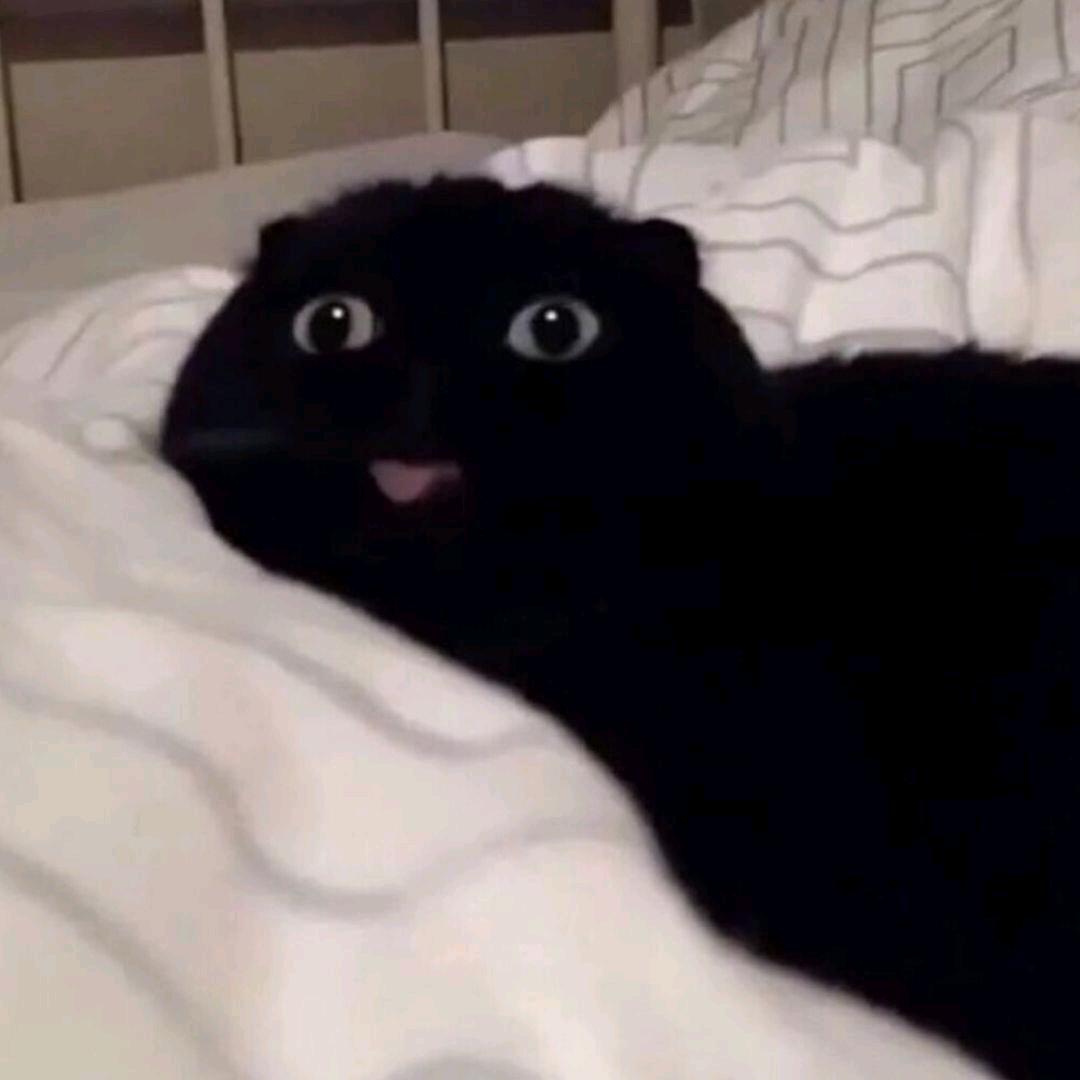 南柯一梦