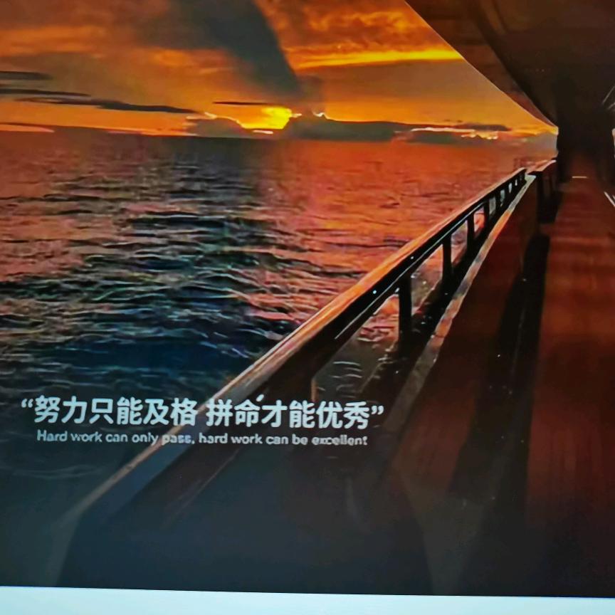 智博