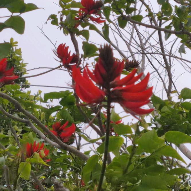 春暖花开[感谢]🙏