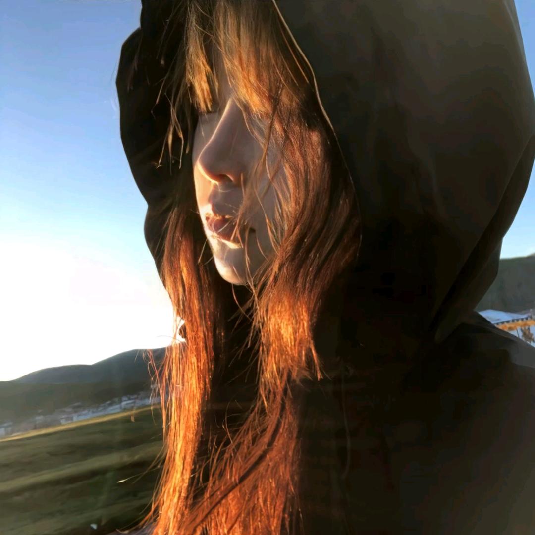 小杨情